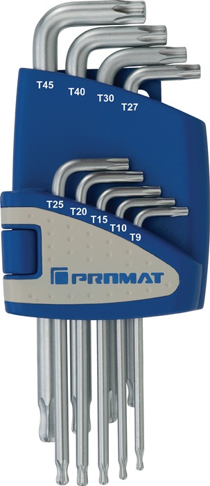 PROMAT Industrie-Stiftschlüssel-Satz